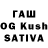 Галлюциногенные грибы Cubensis Muhammad Saufi