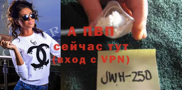 твердый Новокубанск