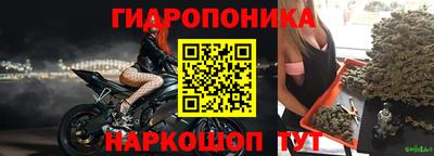 прущие грибы Аргун