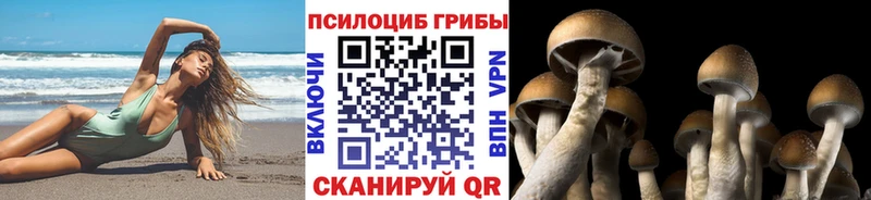 Галлюциногенные грибы мухоморы кракен ТОР Сертолово наркотики
