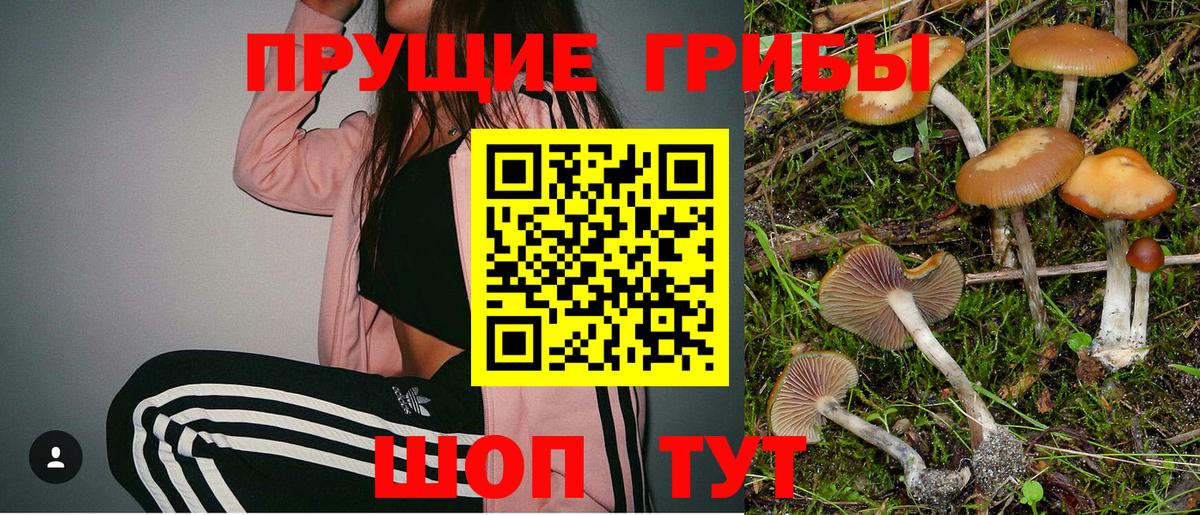 Галлюциногенные грибы Magic Shrooms  Псилоцибиновые грибы GOLDEN TEACHER  Вход с VPN  Сертолово 