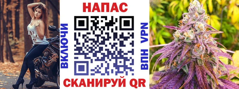 где можно купить   Сертолово  Шишки марихуана SATIVA & INDICA 